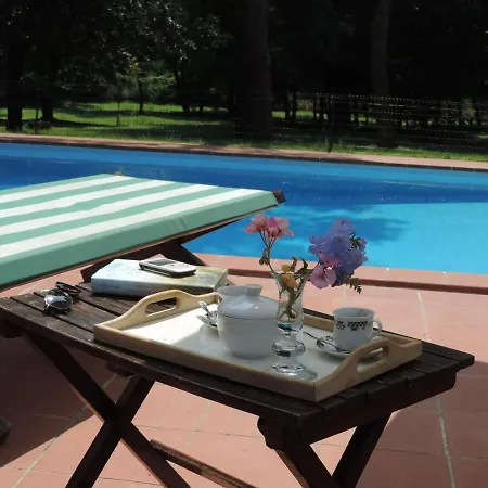 Con Piscina 公寓 *