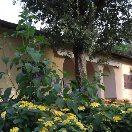 Apartamento Con Piscina *